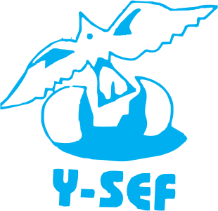 Y-SEF